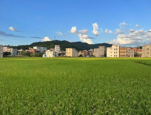 青岛西海岸VS上海申花直播_青岛西海岸VS上海申花免费高清在线直播_青岛西海岸VS上海申花免费直播视频直播